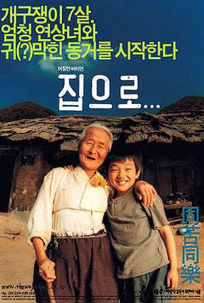 The Way Home poster